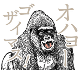 Honorific of Gorilla gorilla gorilla sticker #967436