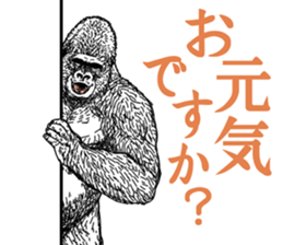 Honorific of Gorilla gorilla gorilla sticker #967438