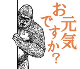 Honorific of Gorilla gorilla gorilla sticker #967438