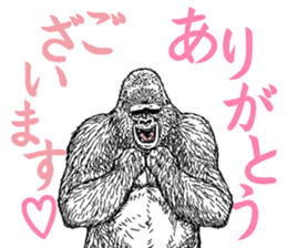 Honorific of Gorilla gorilla gorilla sticker #967440