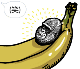 Honorific of Gorilla gorilla gorilla sticker #967441
