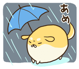 GOROSHIBA sticker #967863