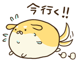 GOROSHIBA sticker #967879