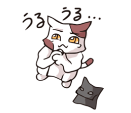 Geisha & Ninja CAT sticker #968196