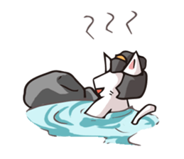 Geisha & Ninja CAT sticker #968198