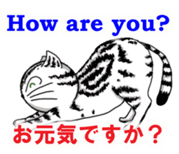 Easy communication English-Japanese sticker #968886
