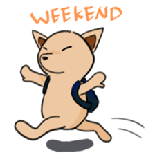 Company Pink in chaos! sticker #973923