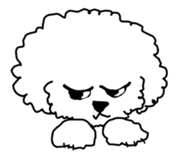 White Toy Poodle sticker #975608