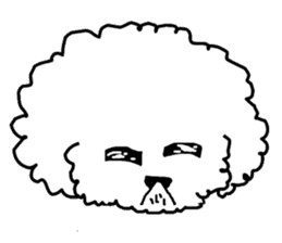 White Toy Poodle sticker #975610