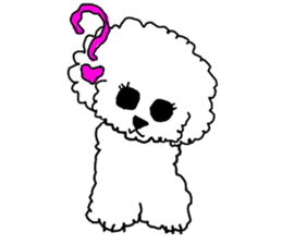 White Toy Poodle sticker #975615