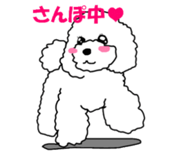 White Toy Poodle sticker #975623