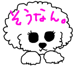 White Toy Poodle sticker #975625