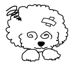 White Toy Poodle sticker #975626