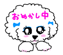 White Toy Poodle sticker #975630