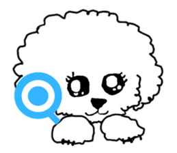White Toy Poodle sticker #975634