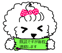 White Toy Poodle sticker #975636