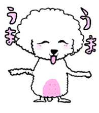 White Toy Poodle sticker #975637