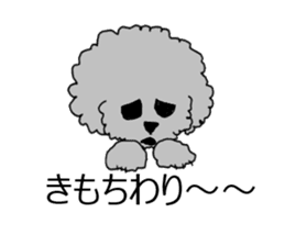 White Toy Poodle sticker #975639