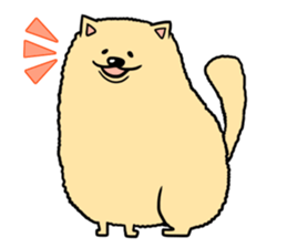 fluffy pomeranian sticker #976607