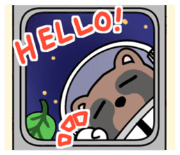 Racoon dog in the space sticker #976688