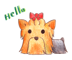 Yorkie sticker #977967