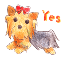 Yorkie sticker #977969