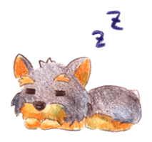 Yorkie sticker #977985