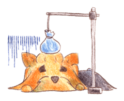 Yorkie sticker #977989