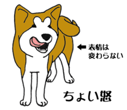 Japanese Akita sticker #983569