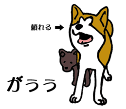 Japanese Akita sticker #983571