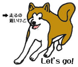 Japanese Akita sticker #983574