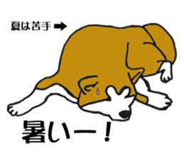 Japanese Akita sticker #983580