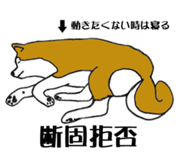 Japanese Akita sticker #983581
