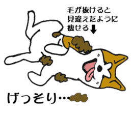 Japanese Akita sticker #983582