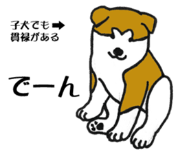 Japanese Akita sticker #983584