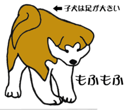 Japanese Akita sticker #983585