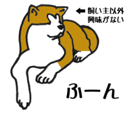 Japanese Akita sticker #983590