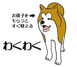 Japanese Akita sticker #983593