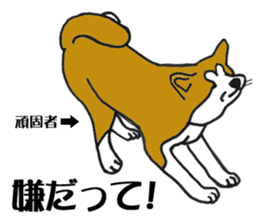 Japanese Akita sticker #983595