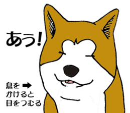 Japanese Akita sticker #983596