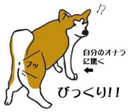 Japanese Akita sticker #983604