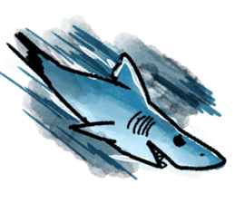 World of shark sticker #984055