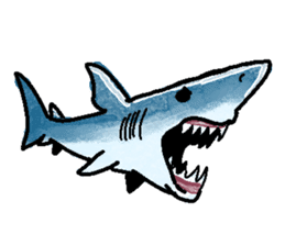 World of shark sticker #984056