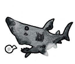 World of shark sticker #984060