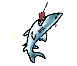 World of shark sticker #984061
