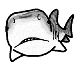 World of shark sticker #984062