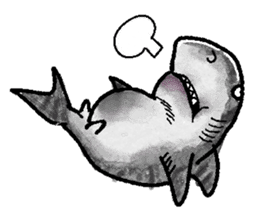 World of shark sticker #984064