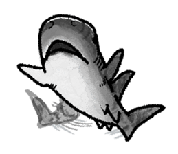 World of shark sticker #984067