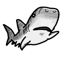 World of shark sticker #984068