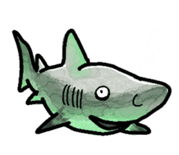 World of shark sticker #984072